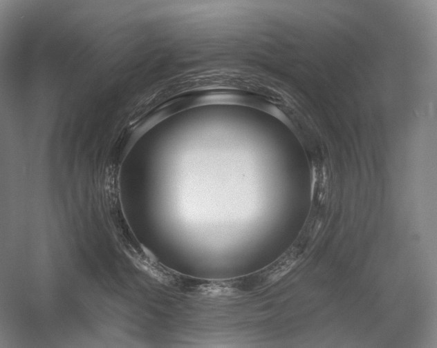 X0000058110284200509231034