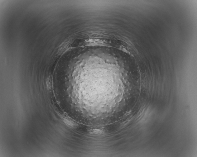 X0000058110285200509231034