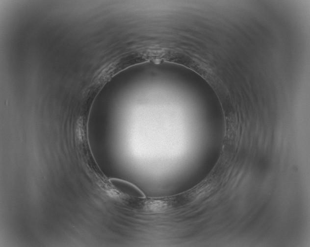 X0000058110287200509231034
