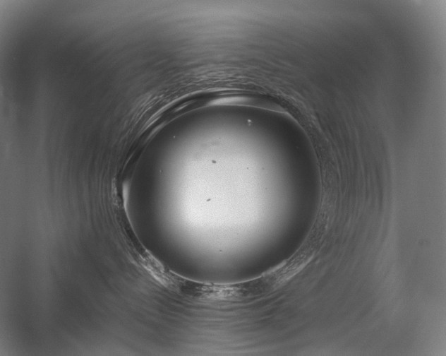 X0000058110288200509231034
