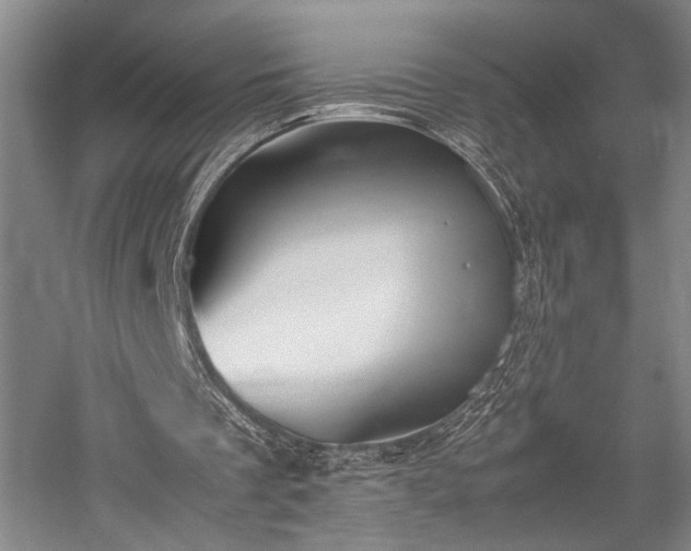 X0000058110289200509231033