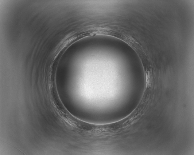 X0000058110291200509231033
