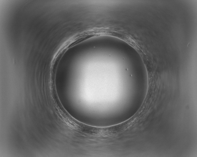 X0000058110293200509231033