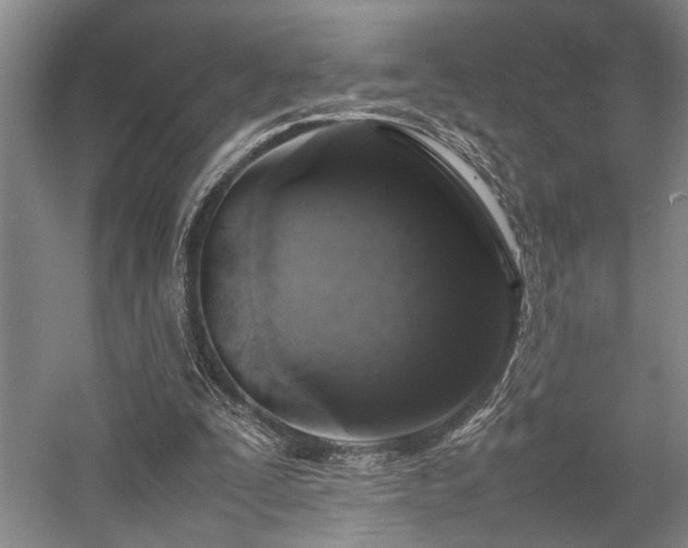 X0000058110295200509231033