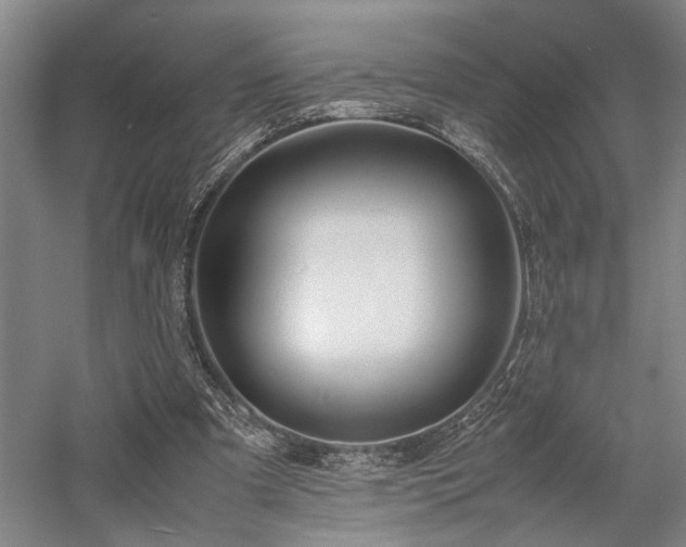 X0000058110297200509231033