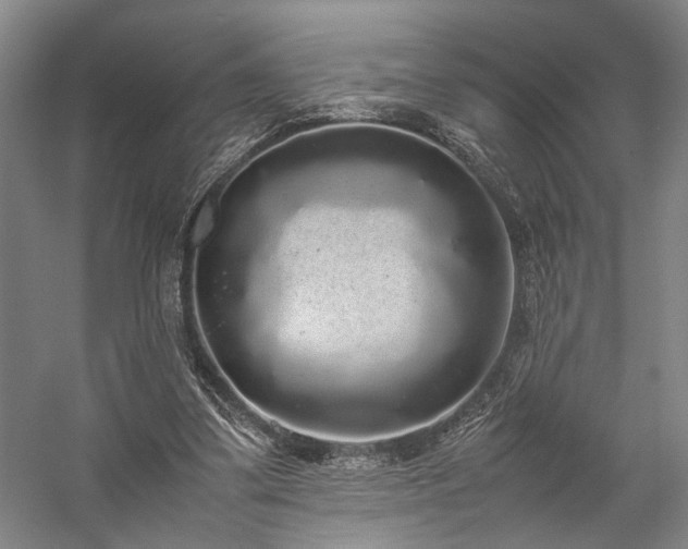 X0000058110299200509231033