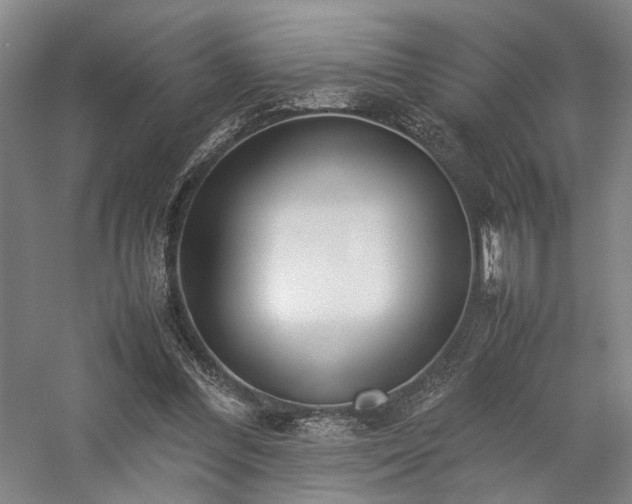 X0000058110300200509231033