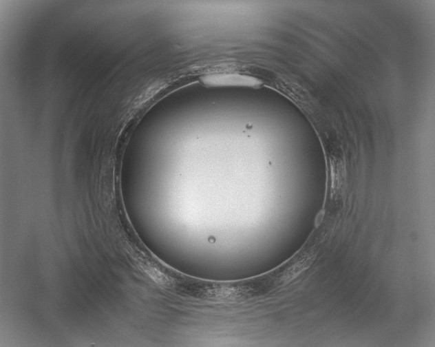 X0000058110301200509231033