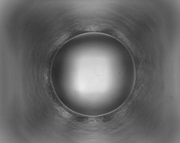 X0000058110305200509231033