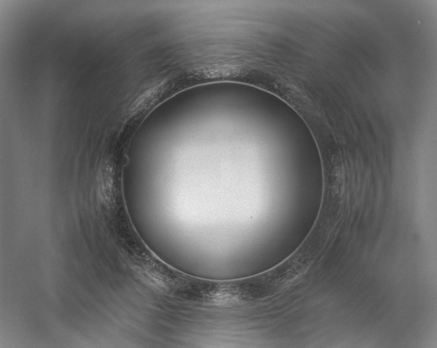 X0000058110308200509231033