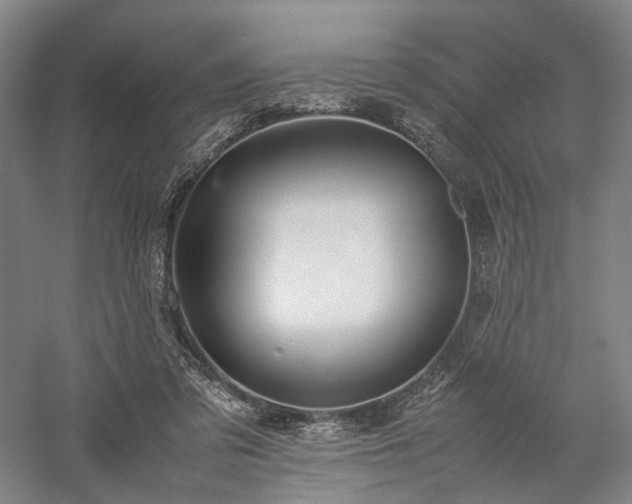 X0000058110309200509231033