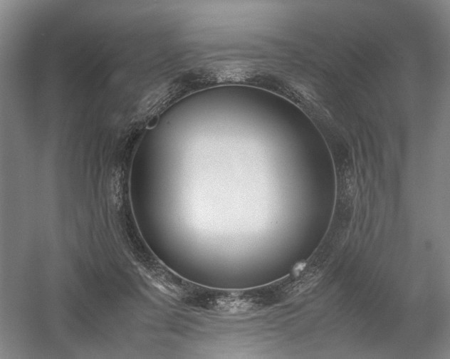 X0000058110311200509231033