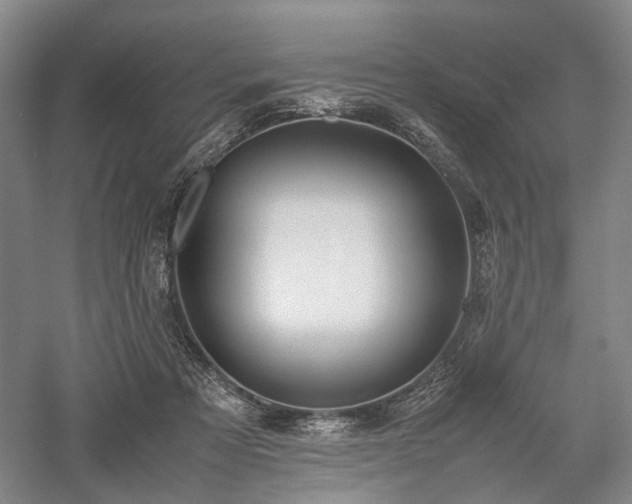 X0000058110313200509231033