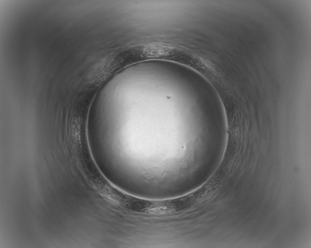 X0000058110315200509231033