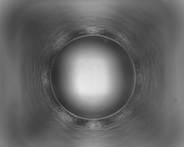 X0000058110317200509231033