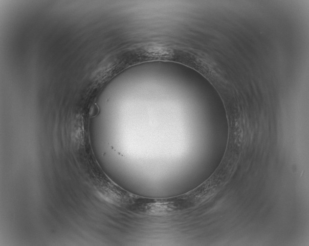 X0000058110320200509231033