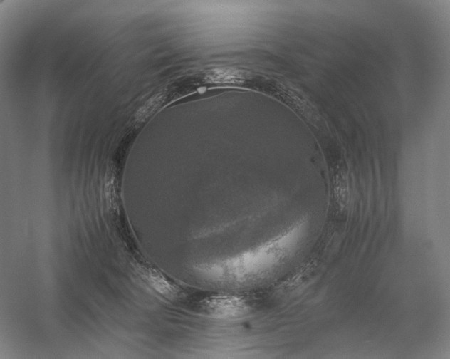 X0000058110322200509231033