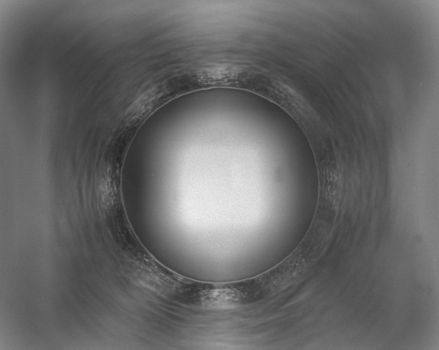 X0000058110324200509231033