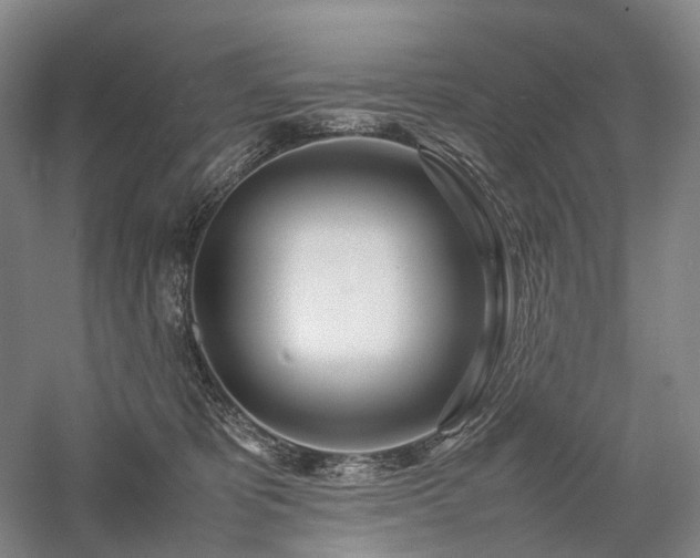 X0000058110325200509231033