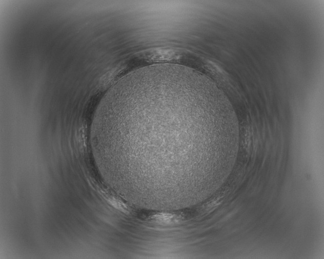 X0000058110326200509231033