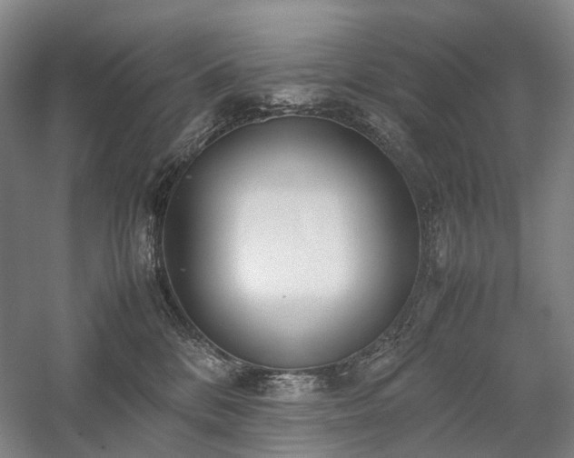 X0000058110328200509231033