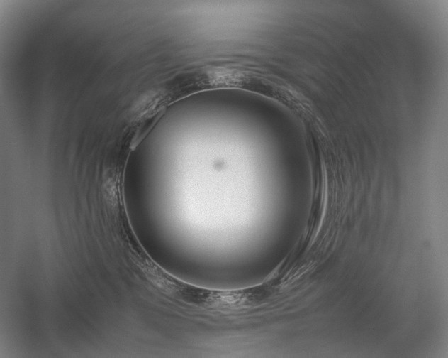 X0000058110329200509231033
