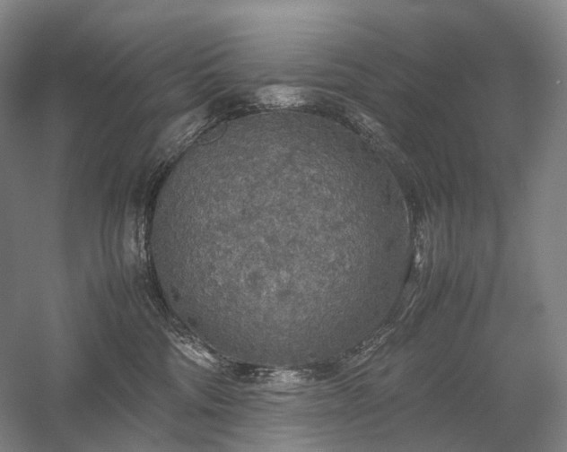 X0000058110330200509231032