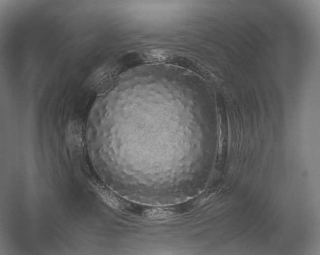 X0000058110331200509231032