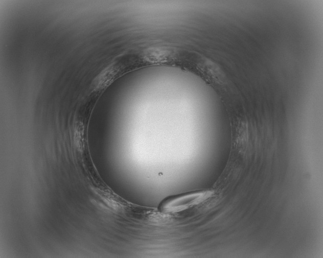 X0000058110332200509231032