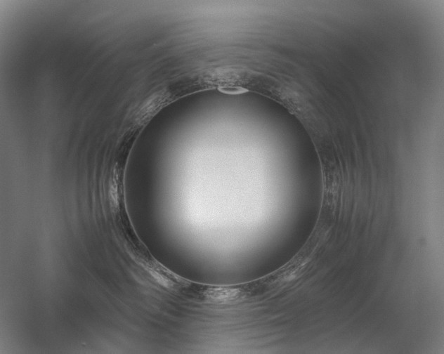 X0000058110334200509231032
