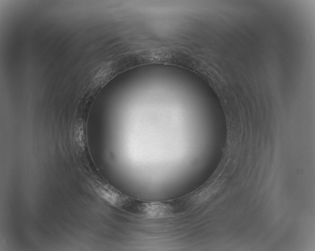X0000058110336200509231032