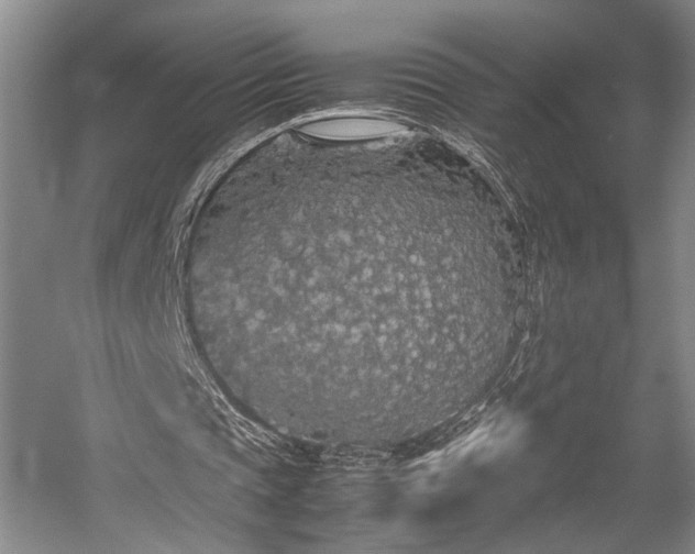 X0000058110337200509231032