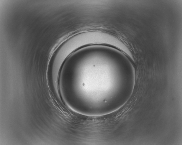 X0000058110340200509231032