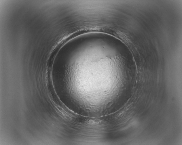 X0000058110346200509231032