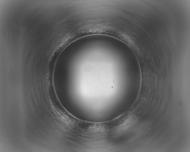 X0000058110354200509231032