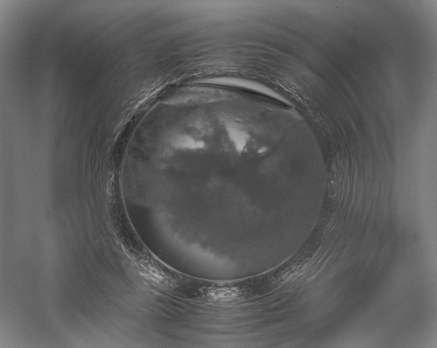X0000058110355200509231032