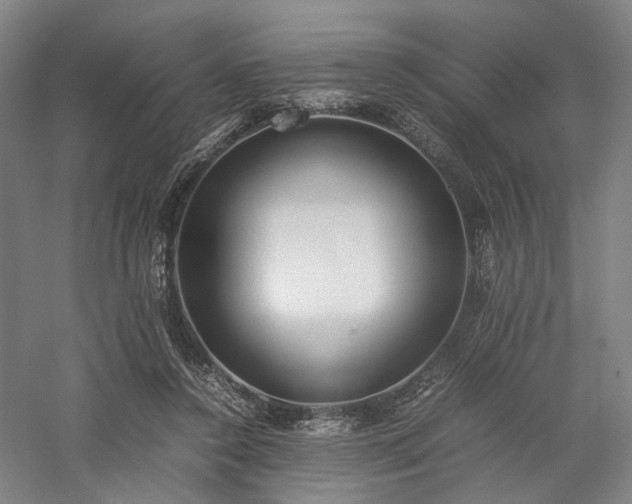 X0000058110356200509231032