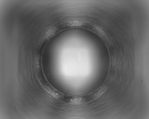 X0000058110362200509231032