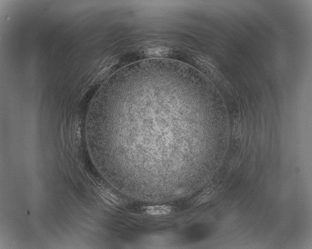 X0000058110363200509231032