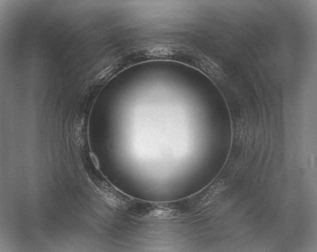 X0000058110364200509231032