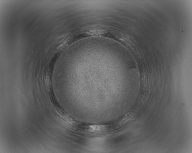 X0000058110371200509231032