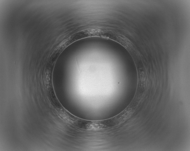 X0000058110372200509231032