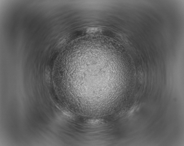 X0000058110375200509231032