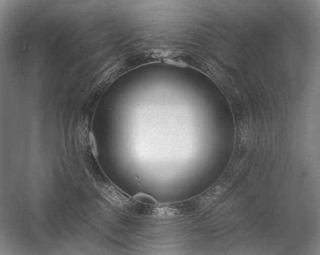 X0000058110376200509231032