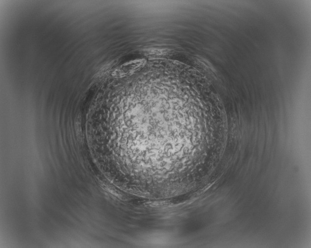 X0000058110377200509231032