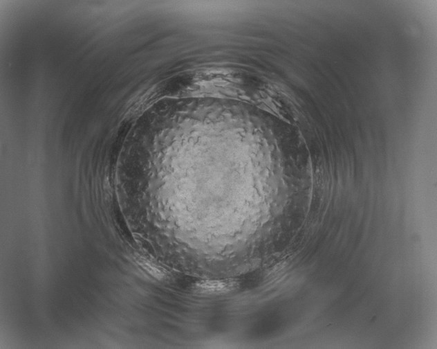 X0000058110381200509231032
