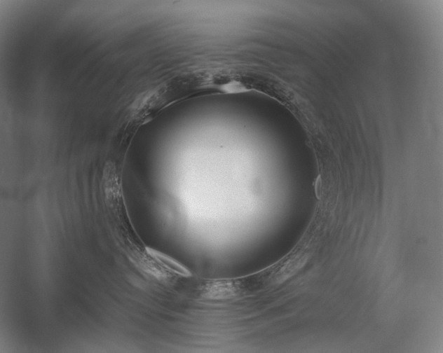 X0000058110384200509231032
