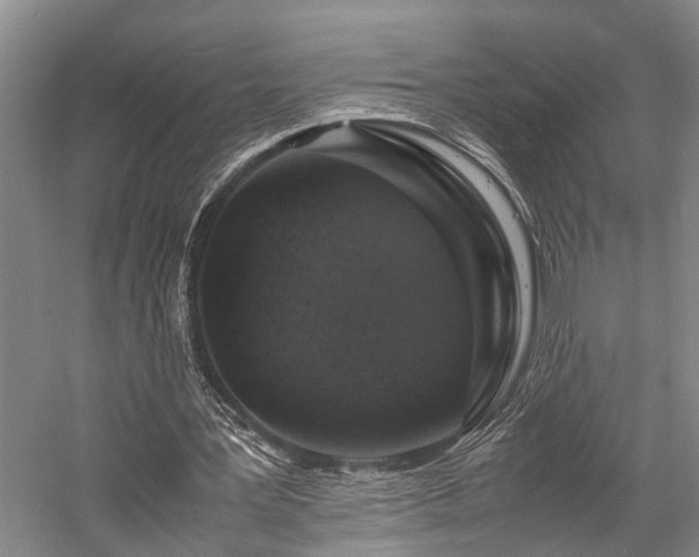 X0000058110387200509231032