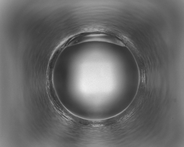 X0000058110388200509231032