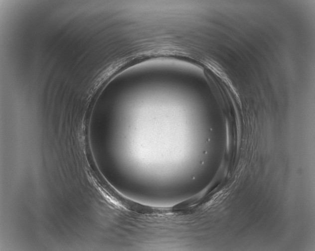 X0000058110389200509231031